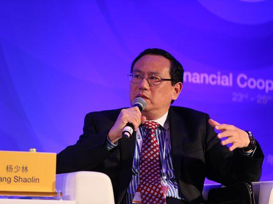 财政部官员杨少林出任世界银行常务副行长