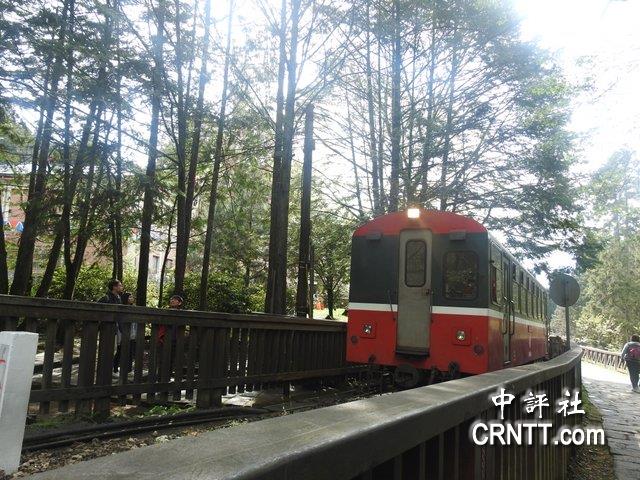 中评镜头：阿里山游客抢拍古董级森林小火车