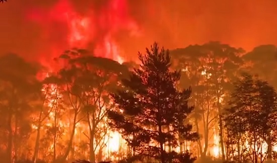 社评：澳大利亚森林火灾影响广泛