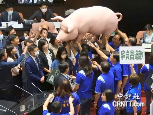 中评关注：莱猪会打垮台湾肉品出口