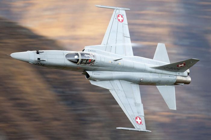 瑞士空军F-5战机坠毁　飞行员成功弹射生还