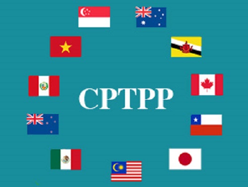 中评专论：台湾申请入CPTPP策略曝光！