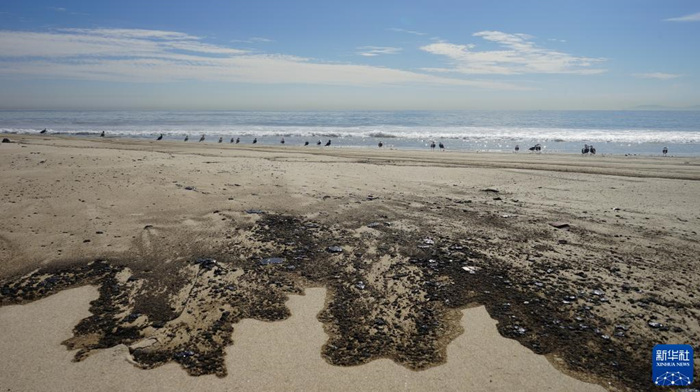 美国加州南部海岸发生严重原油泄漏事故