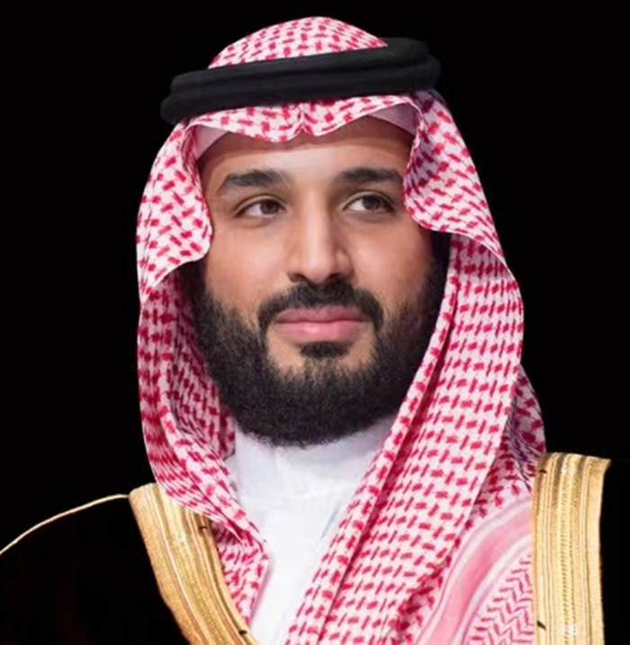 沙特王储称将建设全球首个“非营利性”城市