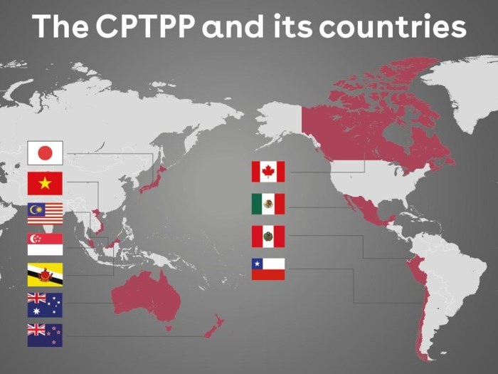 正式申请加入CPTPP彰显中国高水平对外开放决心