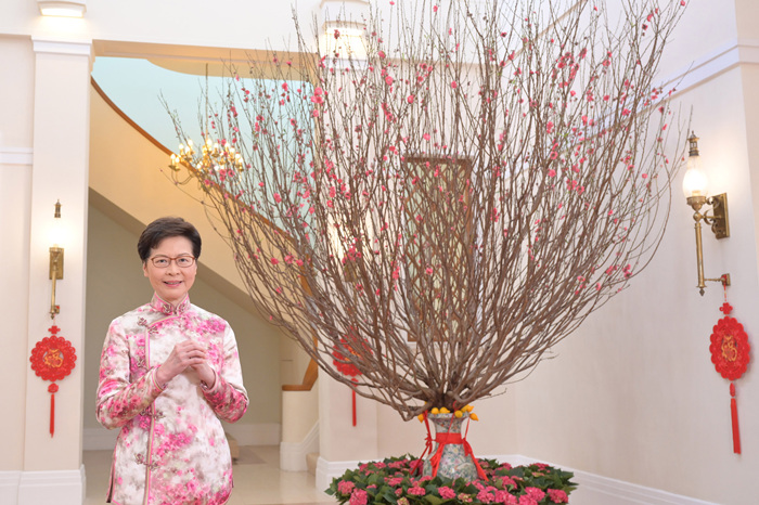 香港特区行政长官林郑月娥发表春节贺辞