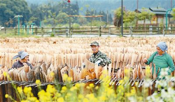 竹木加工　助农增收