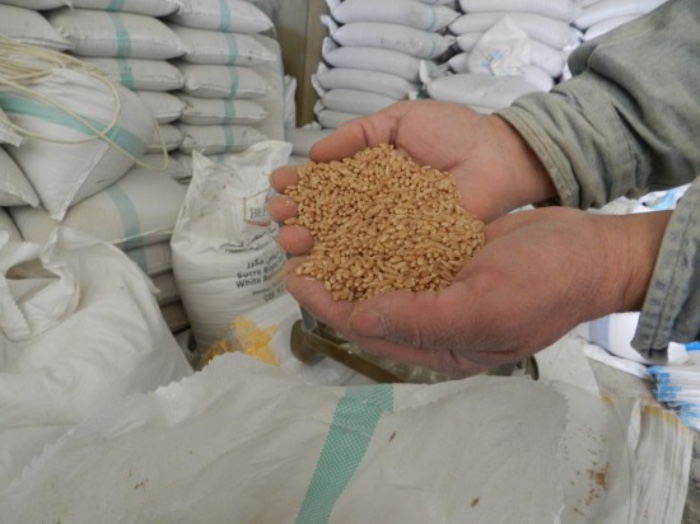 外媒：乌克兰高官称乌将于9月开始出口小麦