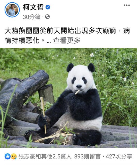 柯文哲告别大熊猫团团　谢谢带给台湾人欢笑