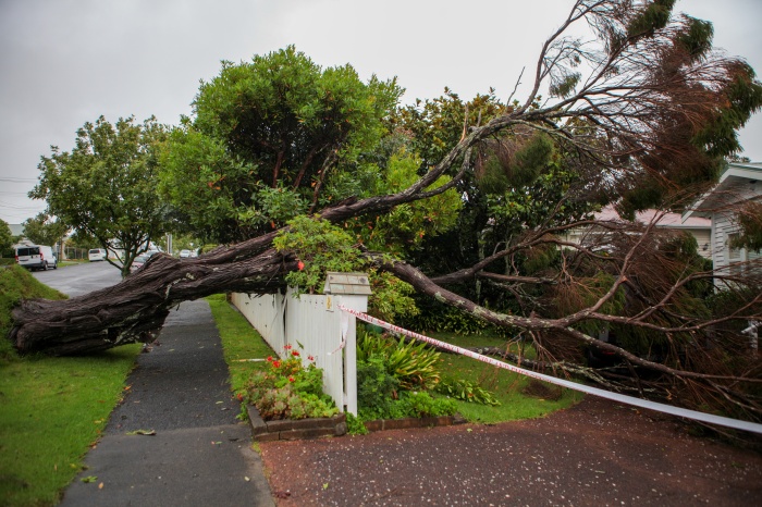 热带气旋“加布丽埃勒”已离开新西兰