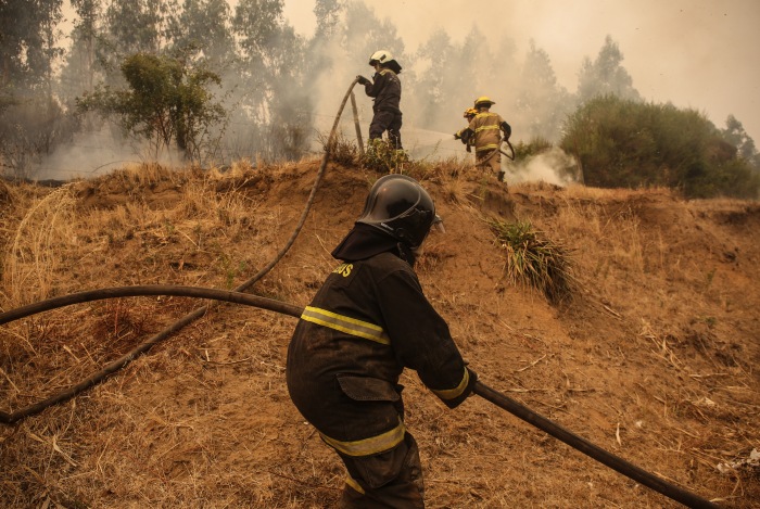 智利森林火灾死亡人数升至26人