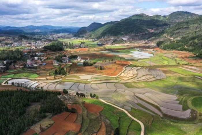 国家级杂交水稻制种大县的“种业振兴”之路